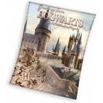 Плюшено и пухкаво одеяло Harry Potter Hogwarts 130/160