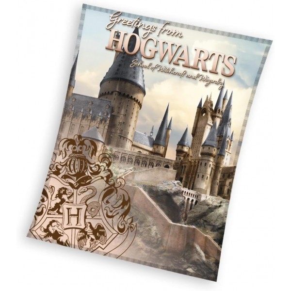 Плюшено и пухкаво одеяло Harry Potter Hogwarts 130/160